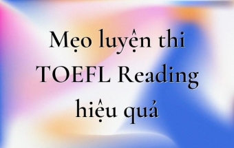 Mẹo luyện thi TOEFL Reading hiệu quả